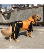 impermeable pour labrador