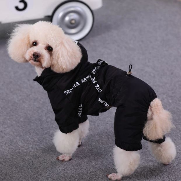 Manteau,Vêtements réfléchissants pour chiens d'hiver manteau chaud  imperméable pour animaux de compagnie veste chien - Type 1-5XL - Cdiscount