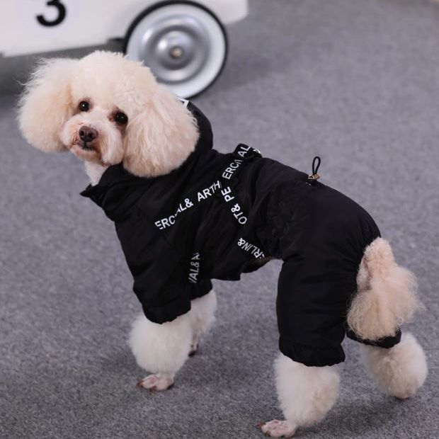 rain suit for dog
