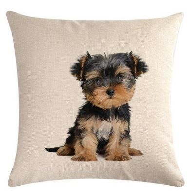 cushion yorkshire terrier