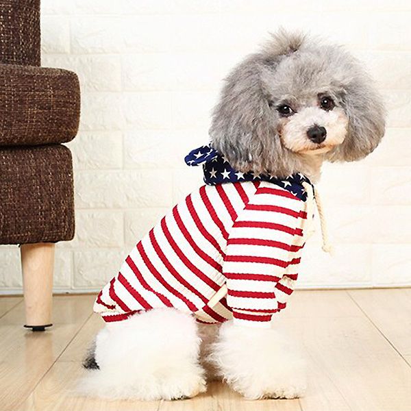 sailor hooded dog sweatshirt