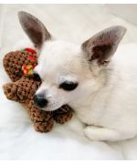 Christmas plush for dog and cat