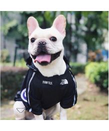 Extreme dog raincoat - black