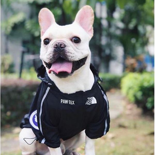 ropa de bulldog francés