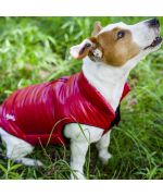 manteau rouge pour chien