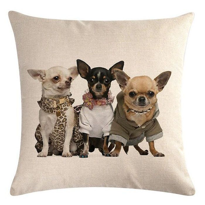 coussin chihuahuas decoration