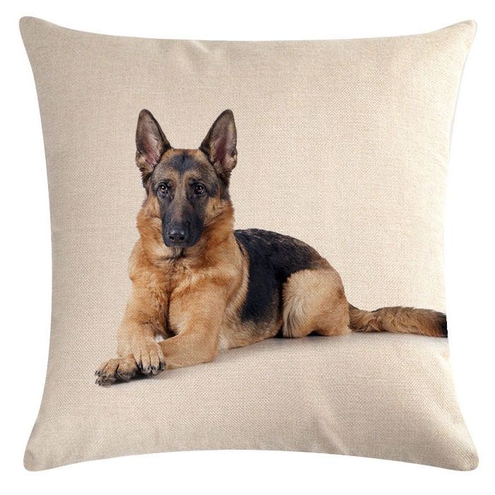 coussin berger allemand decoration