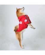 manteau de pluie rouge pour chien