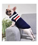 pull en laine pour Bouledogue Francais