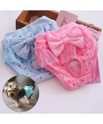 culottes pour chienne