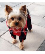 waterproof jumpsuit for small dogs