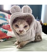 sweater for cat