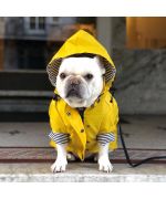 impermeable para bulldog francés