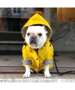 raincoat for french bulldog