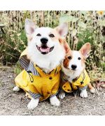 raincoat for corgi