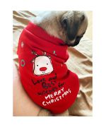 Christmas sweater for small dog size M