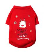 pull de noel pour petit chien taille M