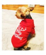 christmas gift for yorkie
