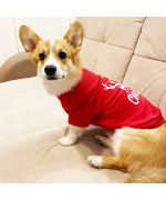 traje de fiesta para corgi