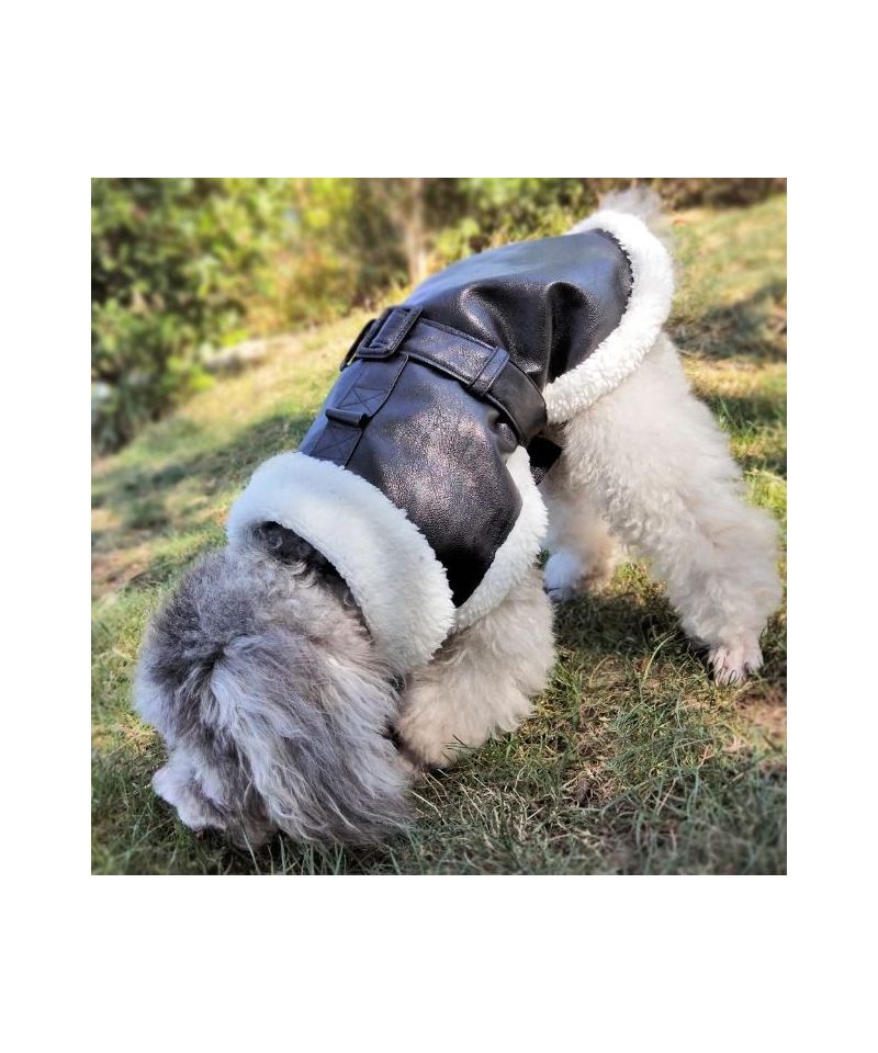 Abrigo impermeable de invierno Abrigo mascota Animaux Chiens Vêtements & accessoires Manteaux & vestes 
