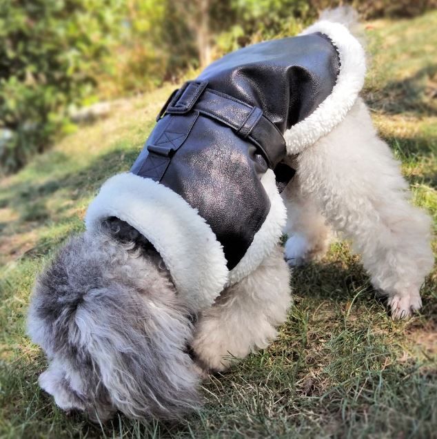 abrigo impermeable para perros fácil de cerrar
