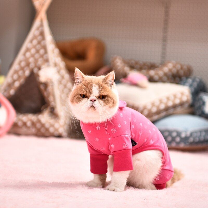 pyjama pour chat pas cher