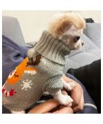 suéter para mini perro