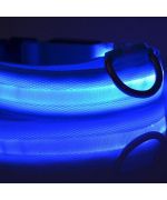 light up dog collar