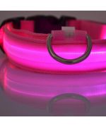 collier lumineux rose pour petit chien