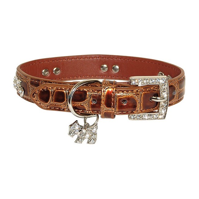 Collar de cocodrilo charol con pedrería para perros de lujo de alta calidad con envío a Suiza, Italia, Bélgica, Canadá, dom