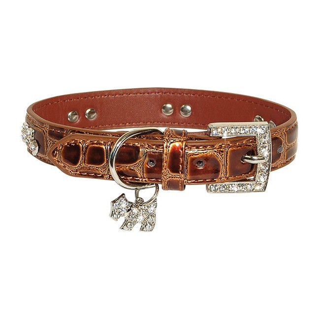 Varnished crocodile collar with rhinestones for high quality luxury dogs, delivery to Switzerland, Italy, Belgium, Canada, Dom