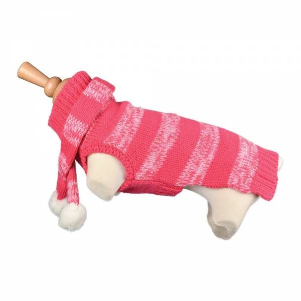 clothes for dog winter with pink stripe for a stylish look with scarf guadeloupe martinique dom tom