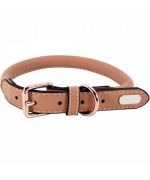 collier rond pour chien