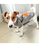 very cute Jack Russell sweater