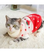 warm cat sweater