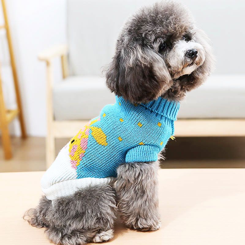 warm sweater for poodle