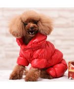 traje de perro para la nieve