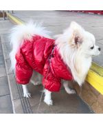 Traje para perro de Pomerania