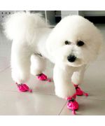 perro con botas pequeñas para proteger sus patas