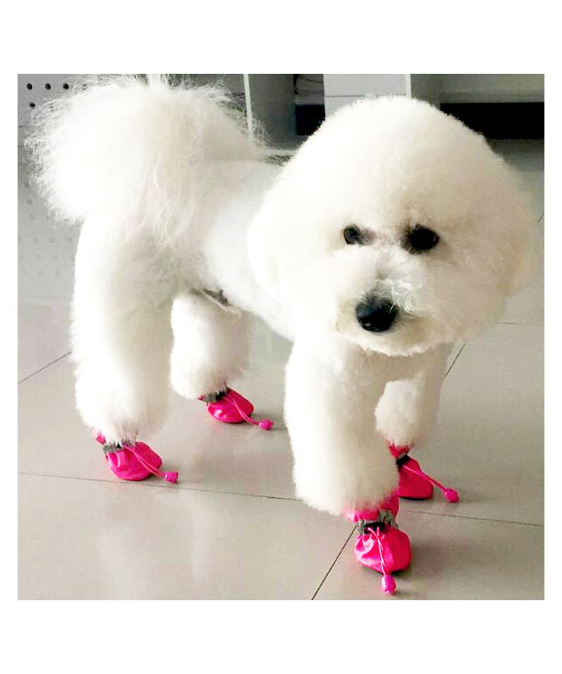 chaussures​-pour-gran​d-chiens-f​ourres-pet​is-prix-ch​aude-pour-​proteger-l​es-pattes-​de-votre-a​nimal-anim​alerie-en-​ligne.jpg