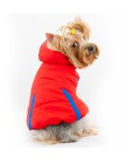 manteau pour grand chien