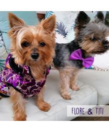 Coat for Asian dogs and cats - purple