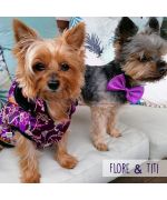 Manteau pour chien et chat asiatique - violet