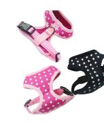 dog harness pink harness white stars