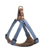 chic harness for trendy dog