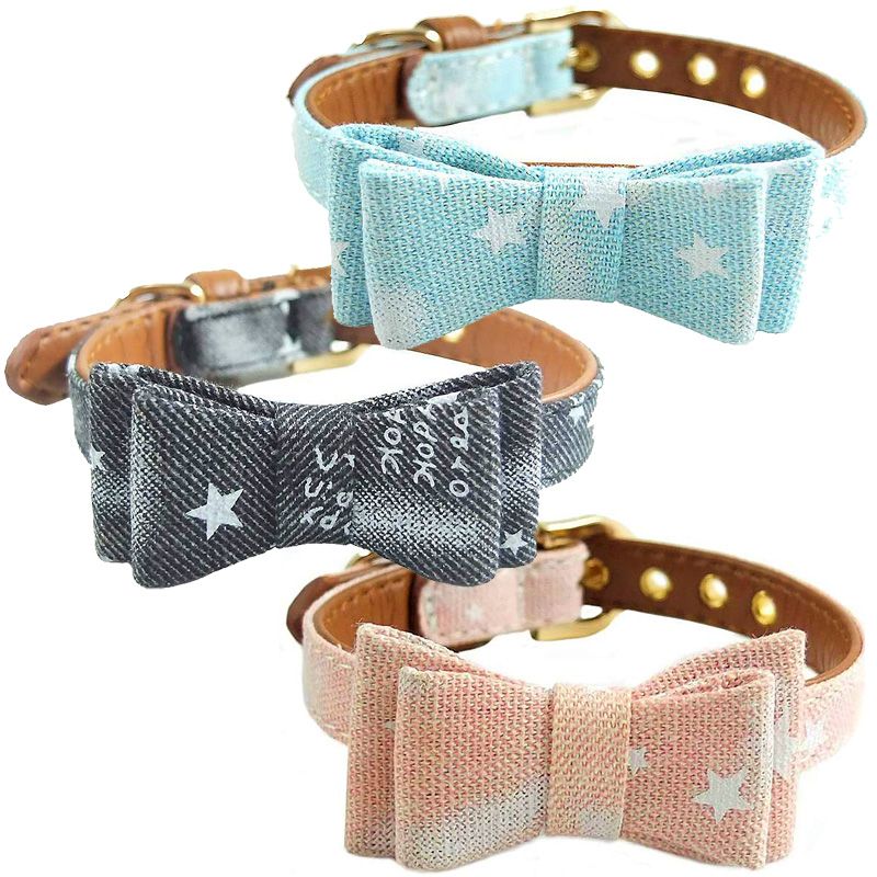 chic dog collar