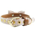 classy dog collar