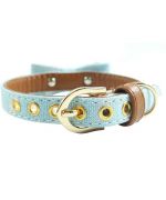 light blue dog collar