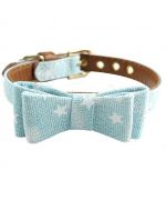 trendy dog collar