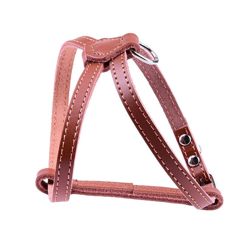 harnais cuir pour chien marron